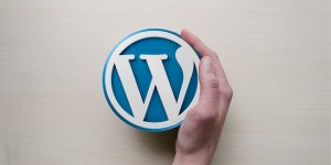 instalación Wordpress.org