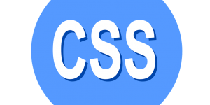 ejercicio selectores CSS