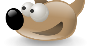 ejercicios gimp