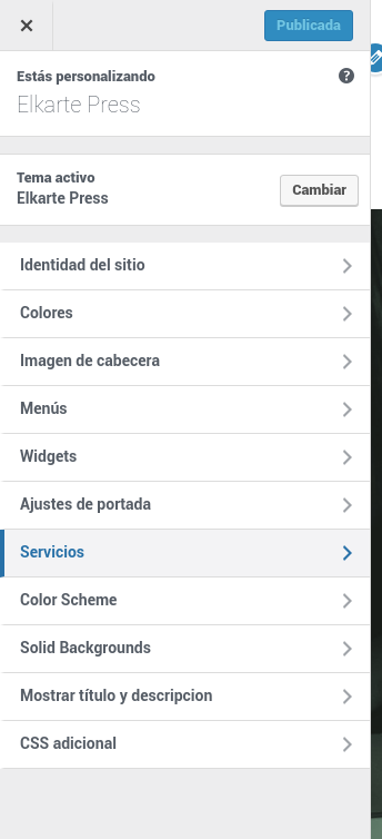 paneles theme options