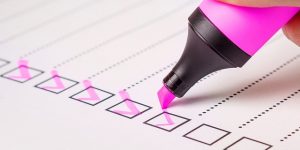 checklist theme check