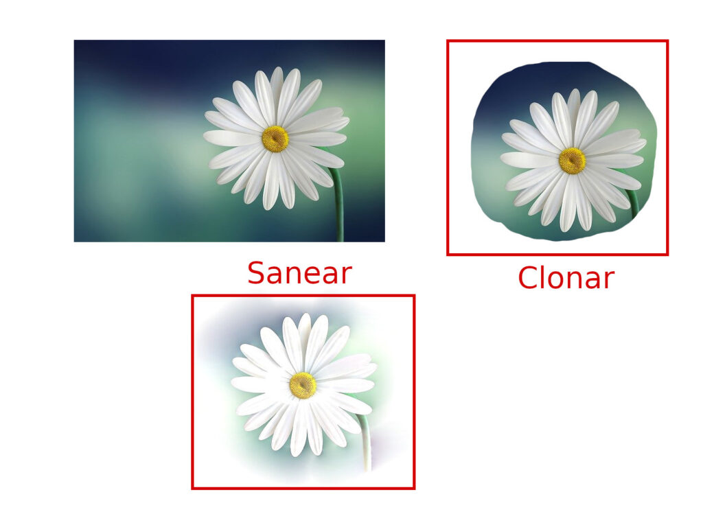 diferencia-sanear-clonar